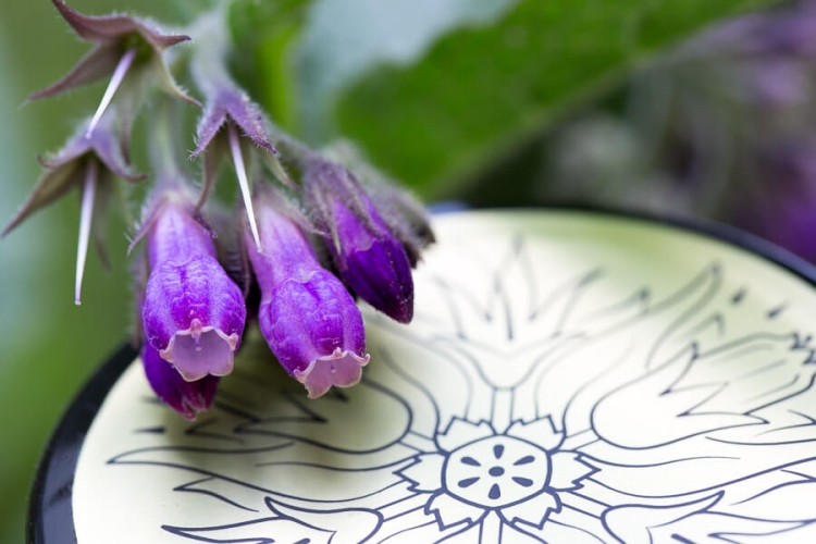 Maść żywokostowa z mumio i minerałami, olejem jojoba, awokado i kokosowym oraz olejkiem bergamotowym na kości, stawy i mięśnie 150ml 2