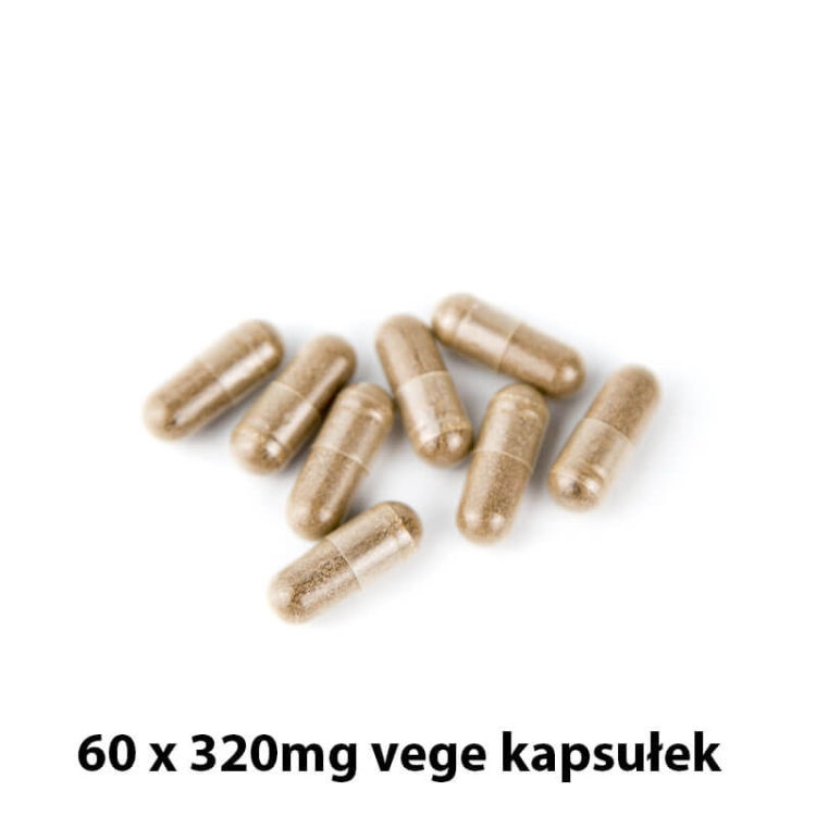 Suplement diety Mumio Ashwagandha ekstraky premium w kapsułkach, pomaga zachować zdrowie i witalność, redukije stres i stabilizuje nastrój 60kap 2