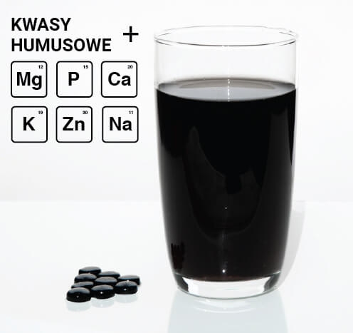 3 x Suplement diety Mumio oczyszczone w bryłkach, kompleks mineralno-organiczny na kości, stawy i wzmocnienie organizmu60 tab po 200mg 1